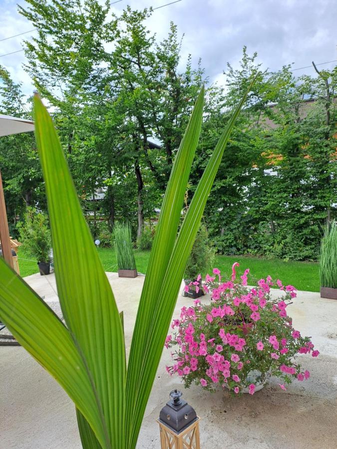 Zwei Hirsche Villa Зеефелд в Тирол Екстериор снимка